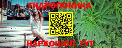 хмурый Кинель
