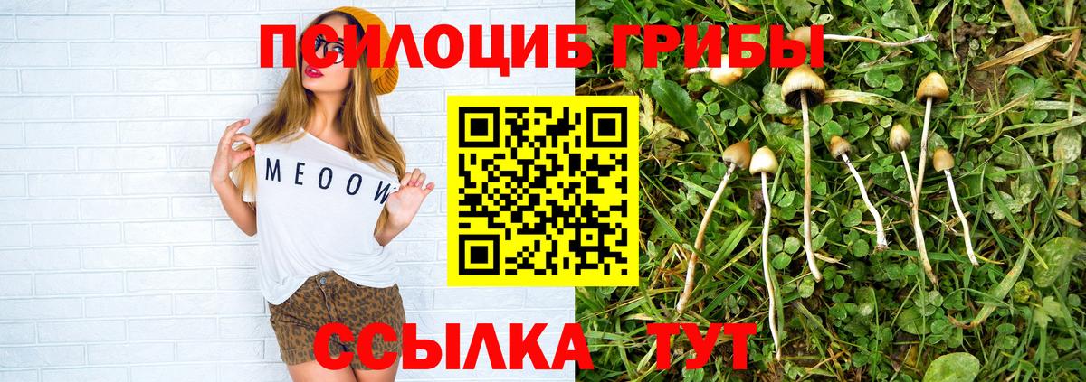 Котлас  Псилоцибиновые грибы Psilocybine cubensis  Вход с VPN  Галлюциногенные грибы MAGIC MUSHROOMS 